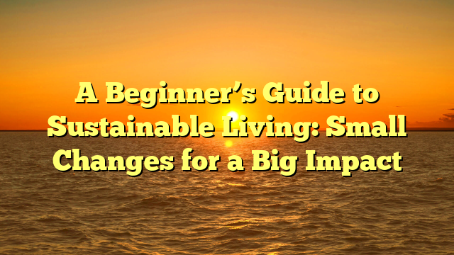 A Beginner’s Guide to Sustainable Living: Small Changes for a Big Impact